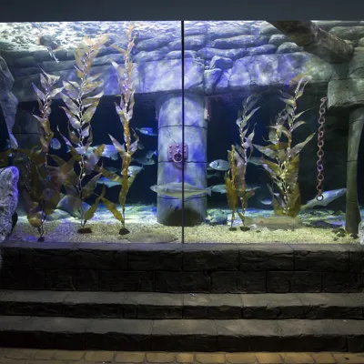 Deep Loch Tank