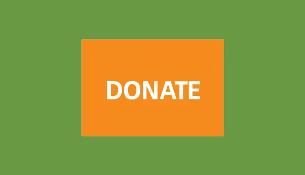 Donate button